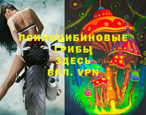 a pvp Михайловск