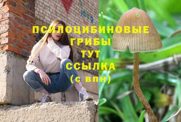 MDMA Premium VHQ Болотное