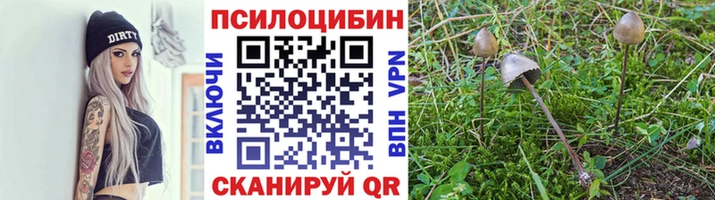 Галлюциногенные грибы ЛСД  Почеп 