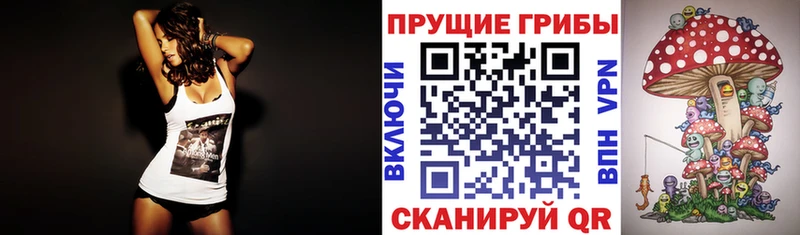 Псилоцибиновые грибы Psilocybe Почеп